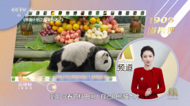 久蕉在线视频